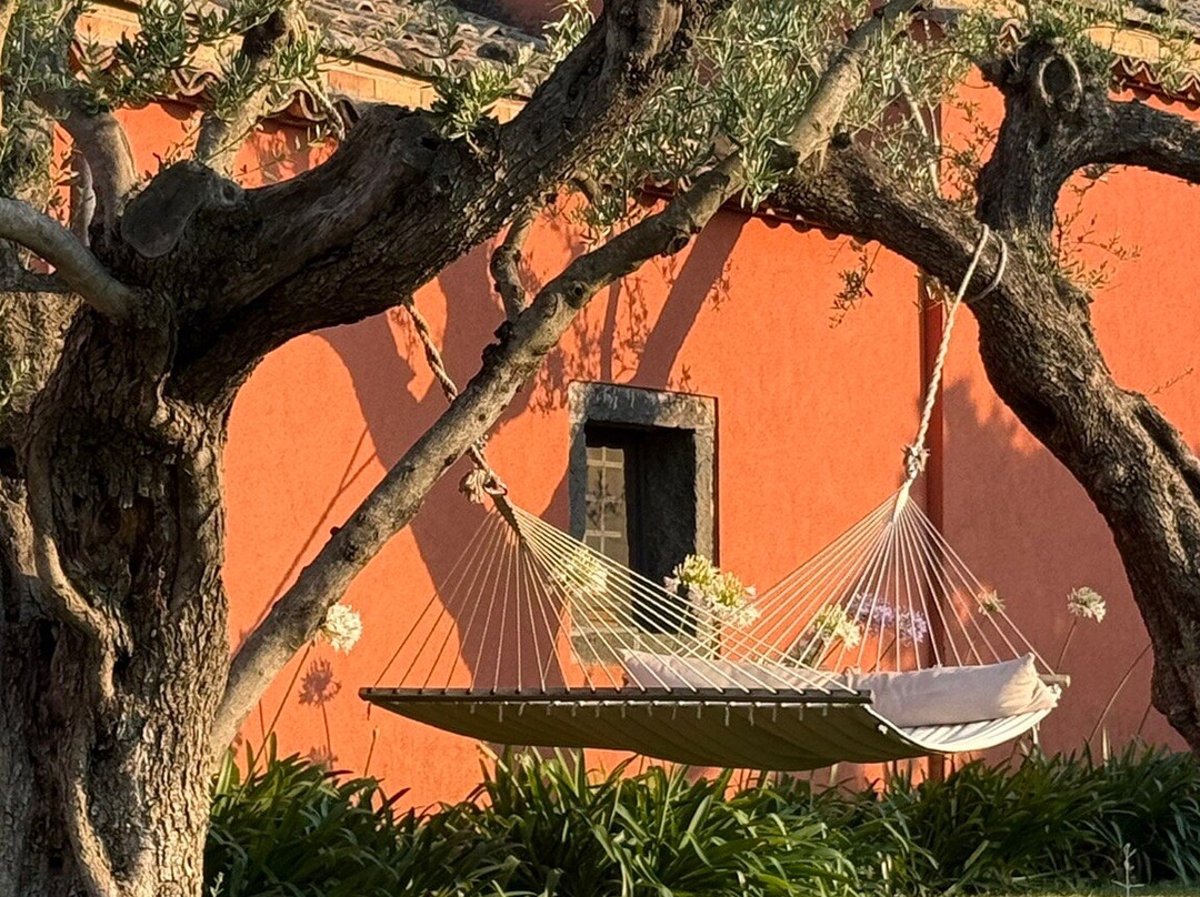 Villa Neri Resort & Spa主图
