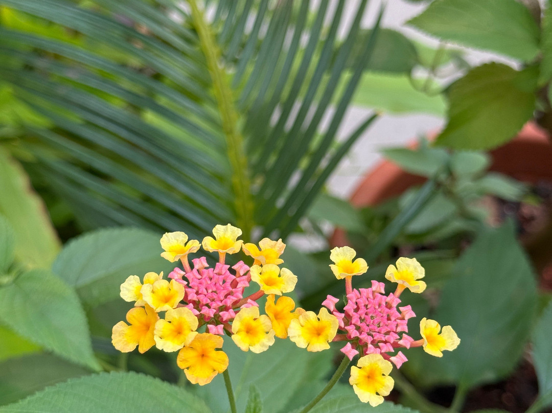 Botania Art Garden-Joensuu必去景点