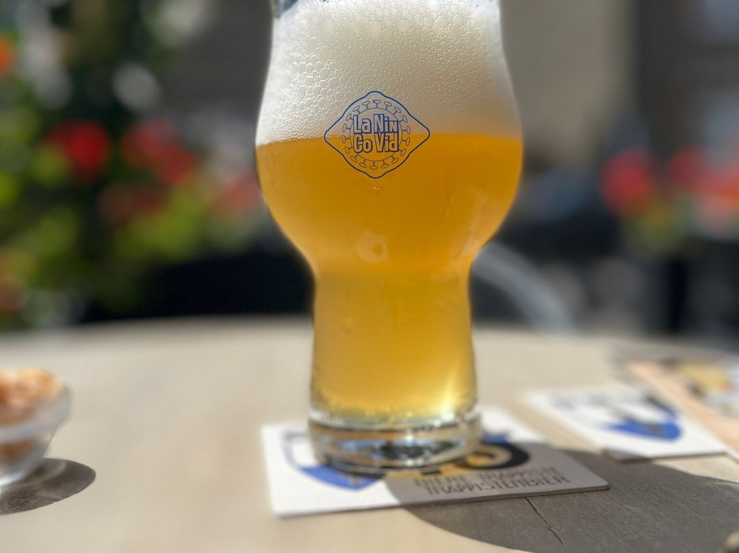 Aux Oies Sauvages