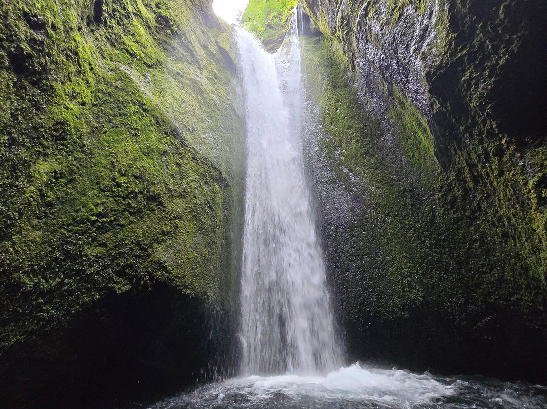 Into The Wild-科帕伏古必去景点