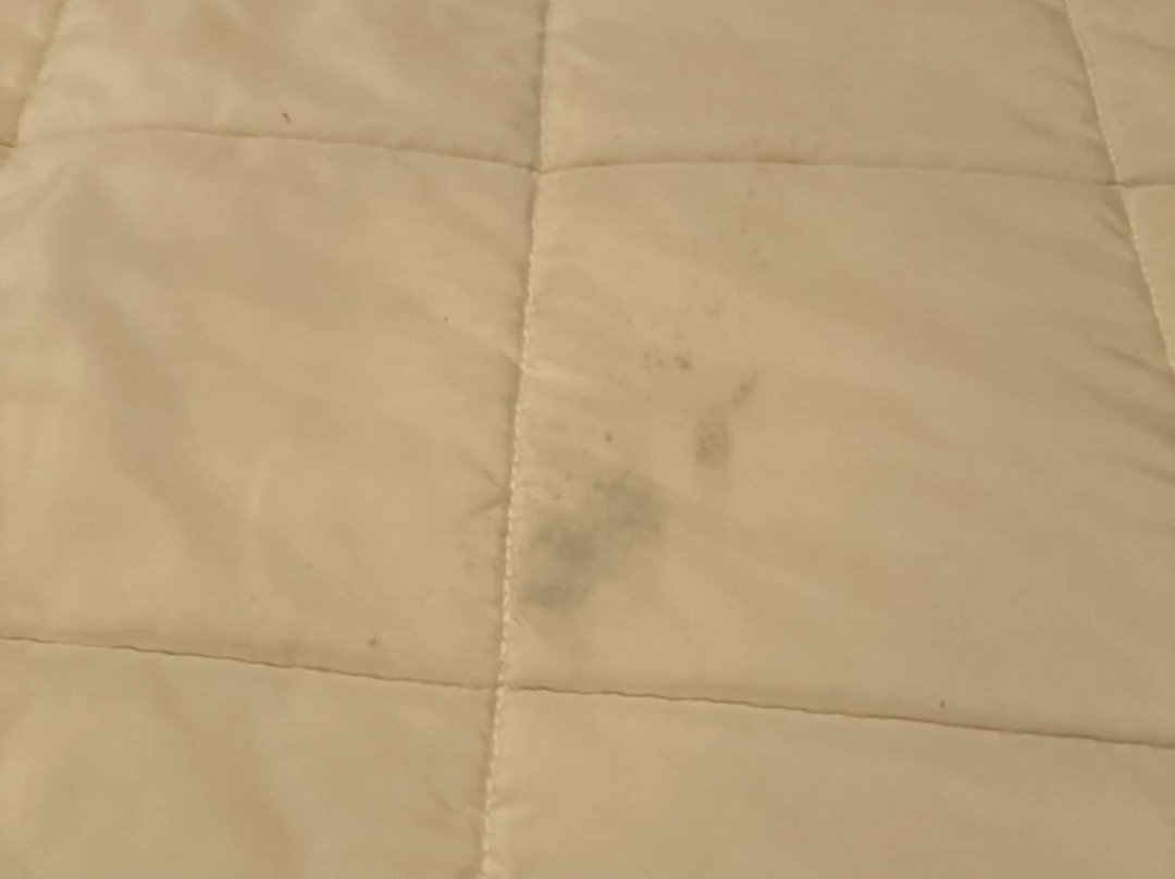 奥特亚汽车旅馆主图