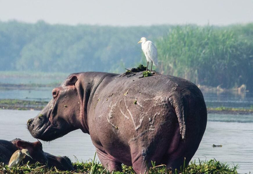 Northern Nature Safaris-Gulu必去景点