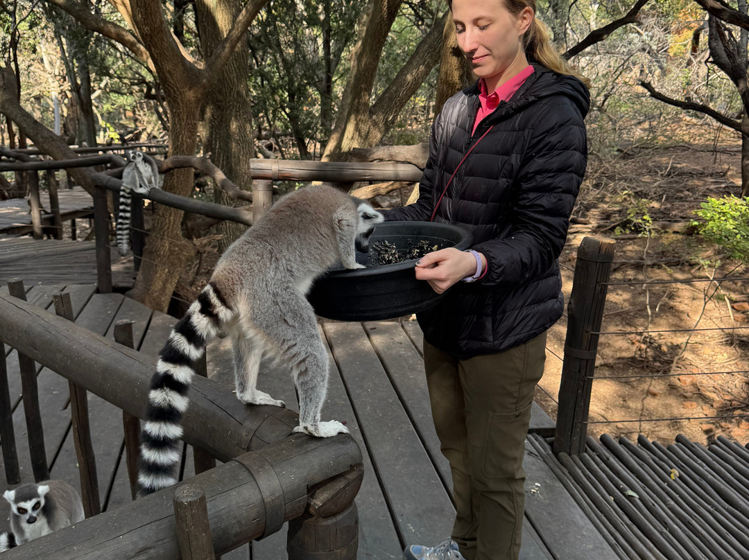 Elephant Sanctuary Hartbeesport Dam-哈特比斯普特必去景点