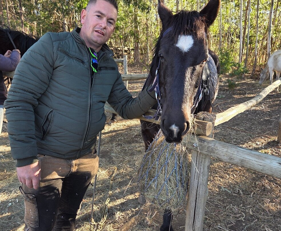 Dullstroom on Horseback-德尔斯特鲁姆必去景点