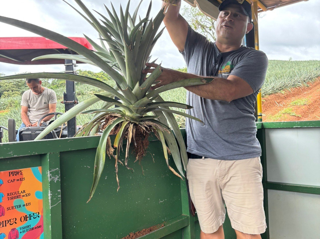 The Best Pineapple Tour Costa Rica-Rio Cuarto必去景点