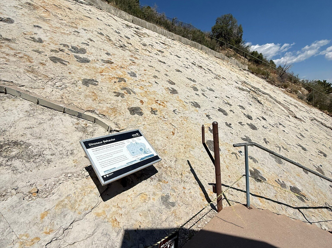 Dinosaur Ridge-Morrison必去景点