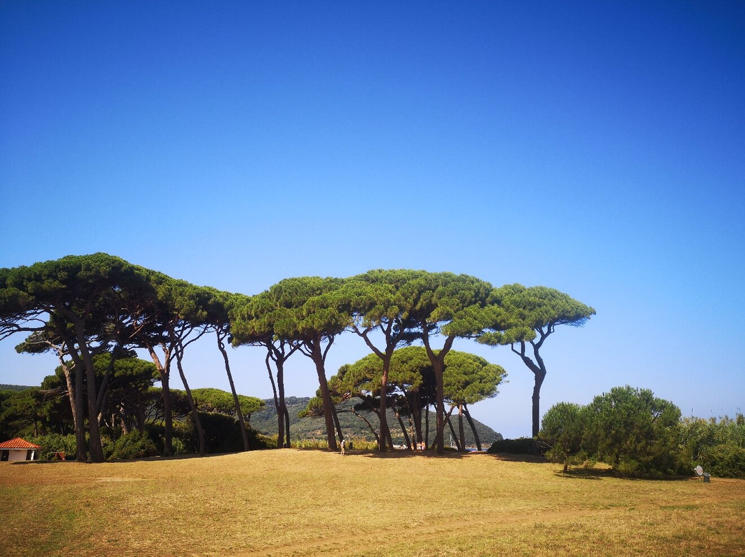 Spiaggia di Baratti-Baratti必去景点