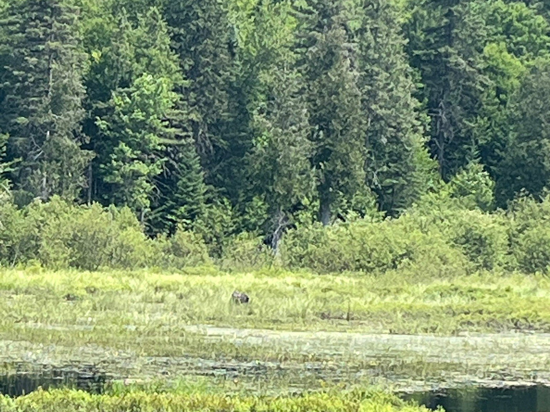 Algonquin Visitor Centre-阿冈昆公园必去景点