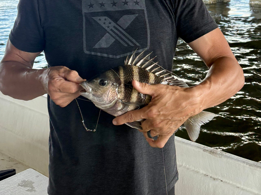 Pogies-Swansboro必去景点