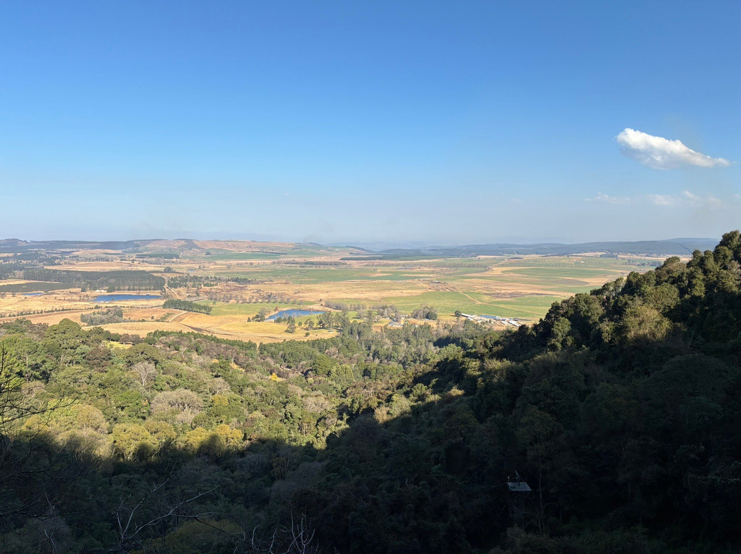Drakensberg Canopy Tour