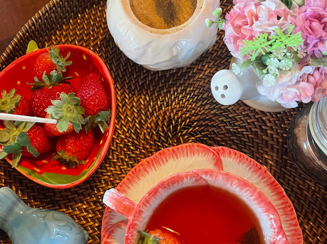 Fresas Ariyami-Constanza必去景点