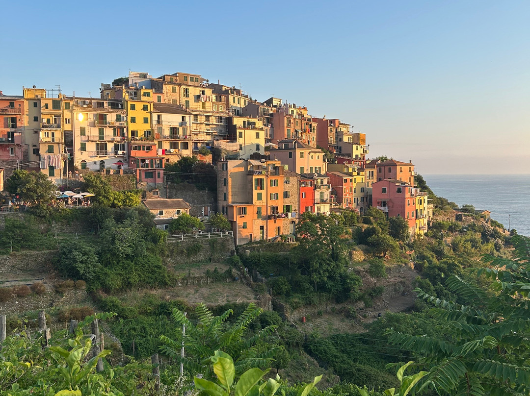 Sole Terra Mare主图