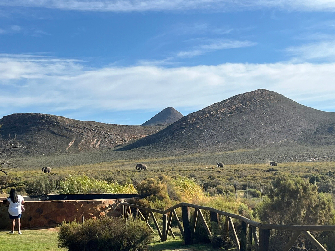 Gems Of Africa Safari And Tours-开普敦必去景点