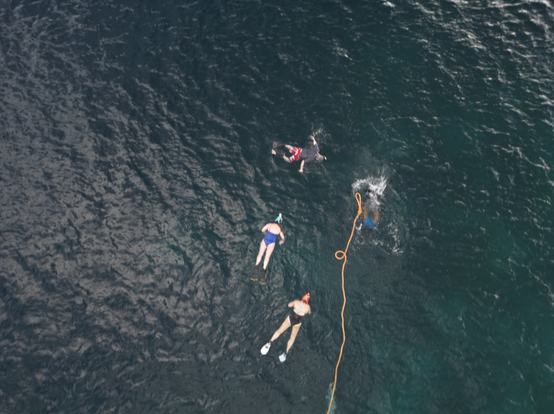 Curacao Taxi Max-威廉斯塔德必去景点