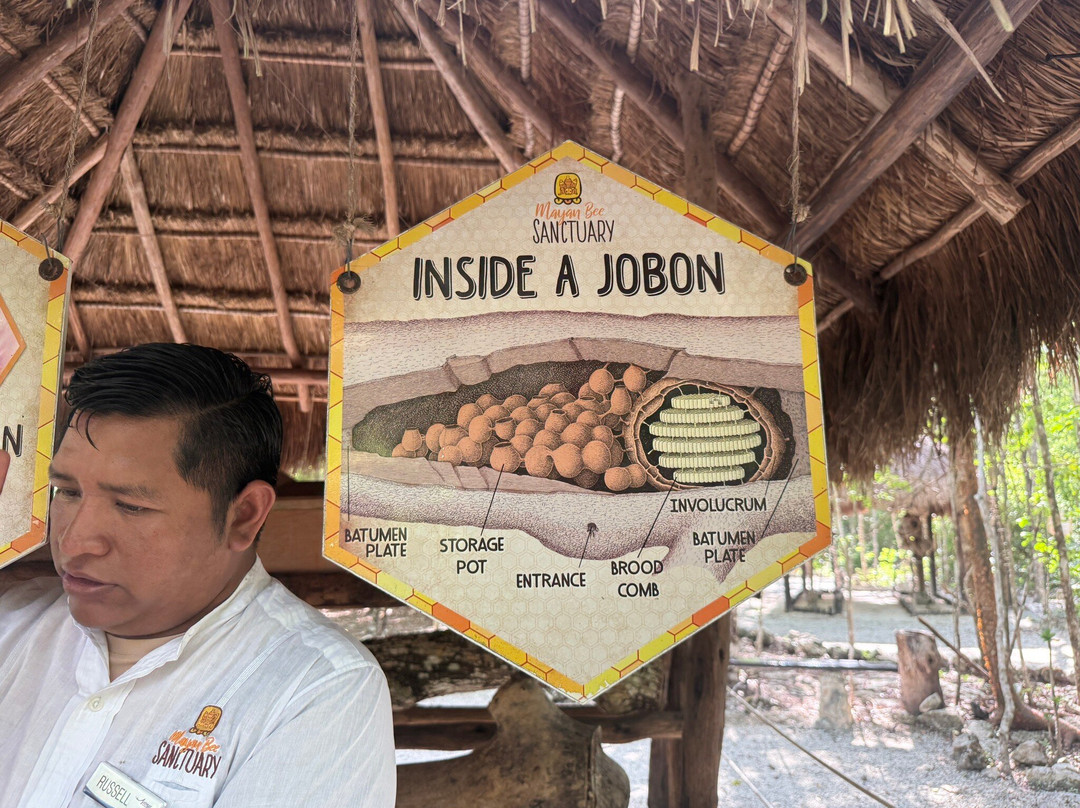 Mayan Bee Sanctuary-San Miguel de Cozumel必去景点