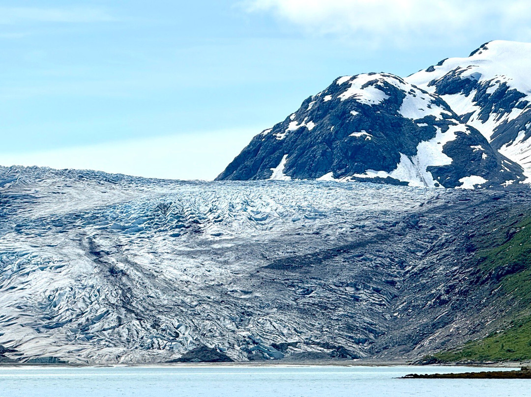 Glacier Bay Lodge & Tours-古斯塔夫斯必去景点
