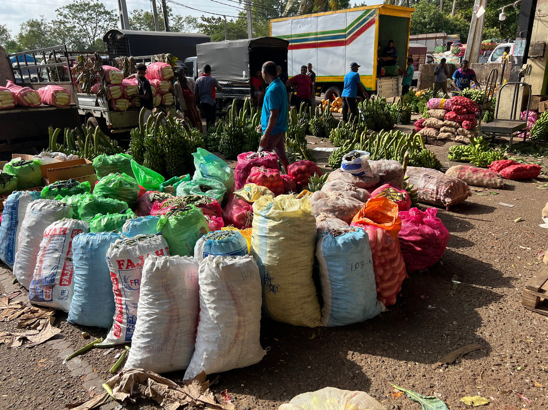 Shan Lanka Tours - Travel with Rukmal-Marawila必去景点