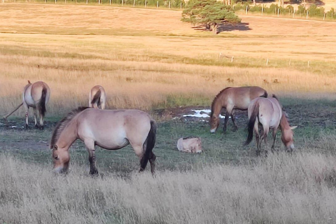 Reserve Biologique des Monts d'Azur-Thorenc必去景点