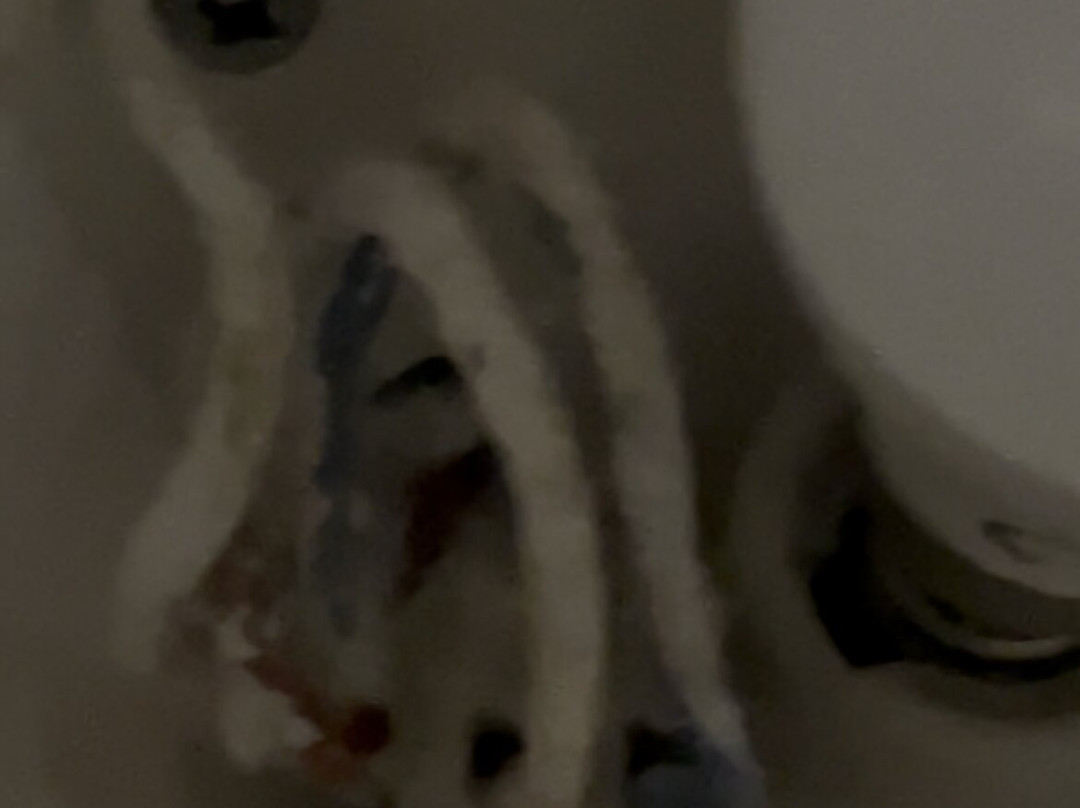 Summer Dream Hotel主图