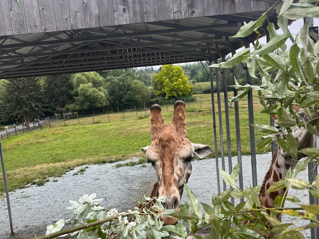 Greater Vancouver Zoo-Aldergrove必去景点