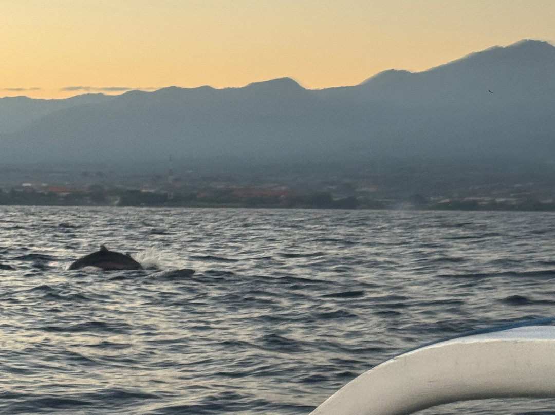 Maytrip Tour-泗水必去景点