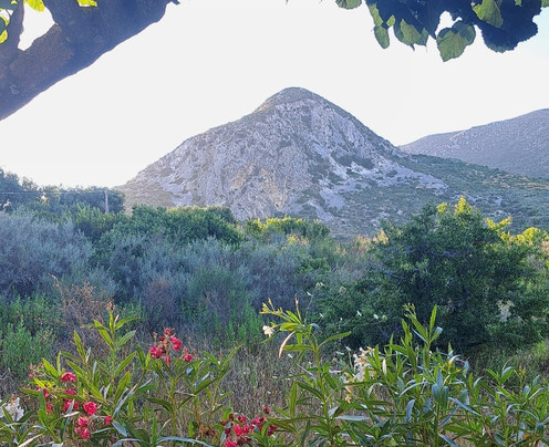 Filoxenia Apartments主图