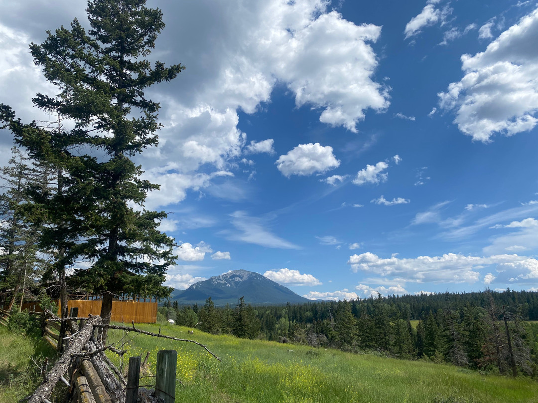 回音谷牧场 Spa 度假村主图