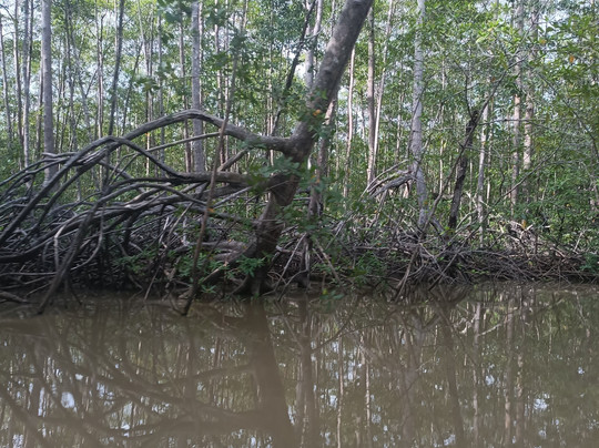 Official Guide Costa Rica-哥斯达黎加安东尼奥国家公园必去景点