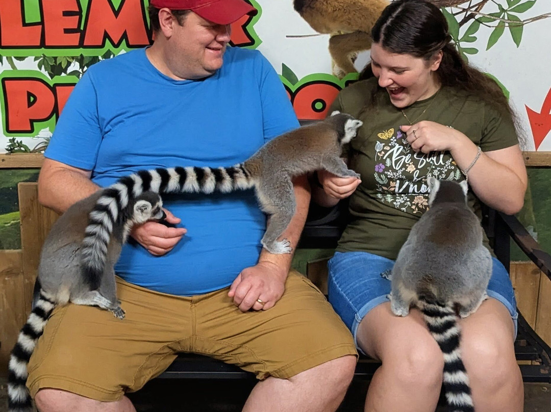 Branson's Wild World-布兰森必去景点