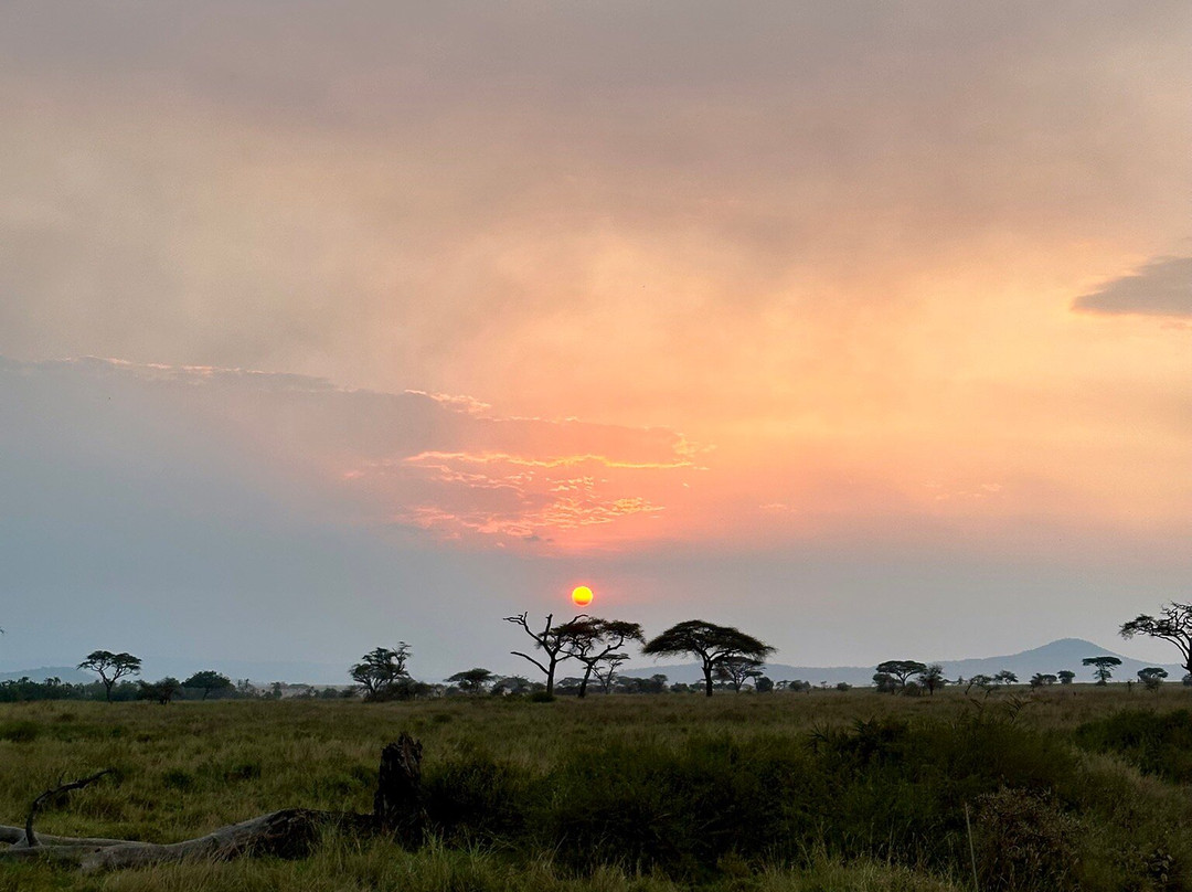 Takims Holidays-阿鲁沙必去景点