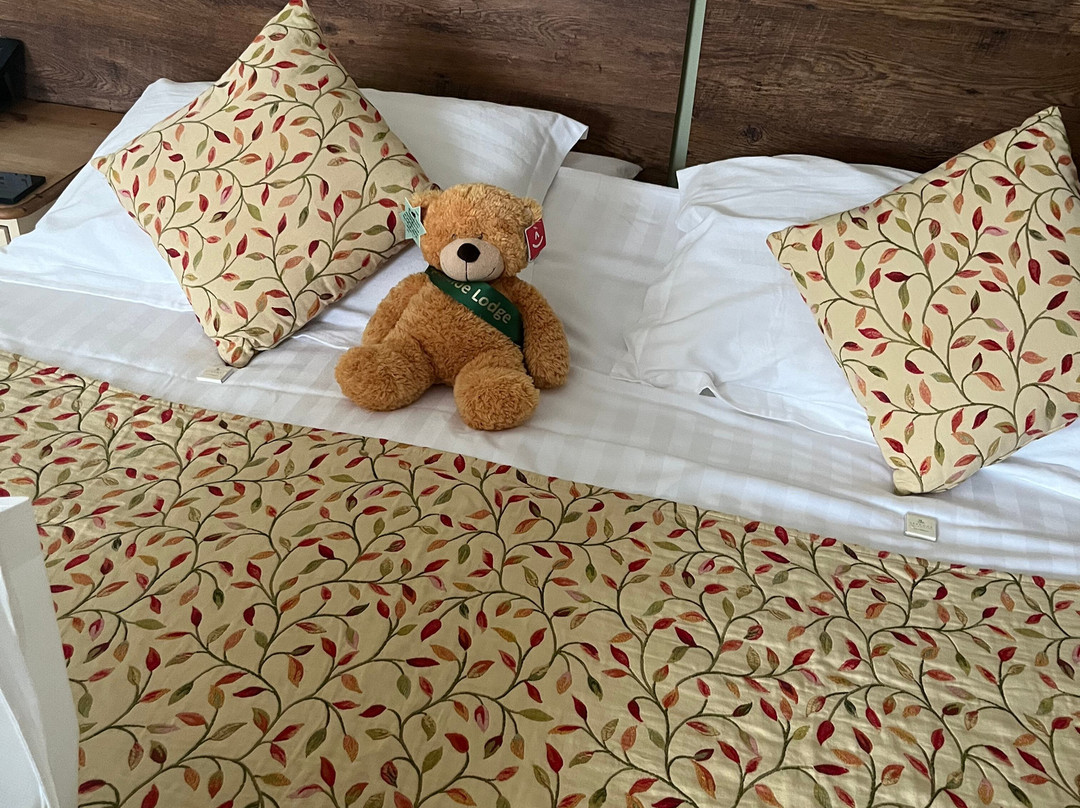 斯潘霍旅馆主图