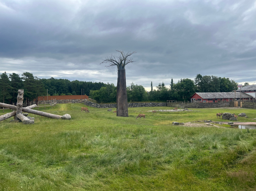 Dyreparken-克里斯蒂安桑必去景点