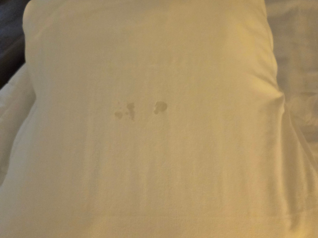 布法罗国际机场假日酒店主图