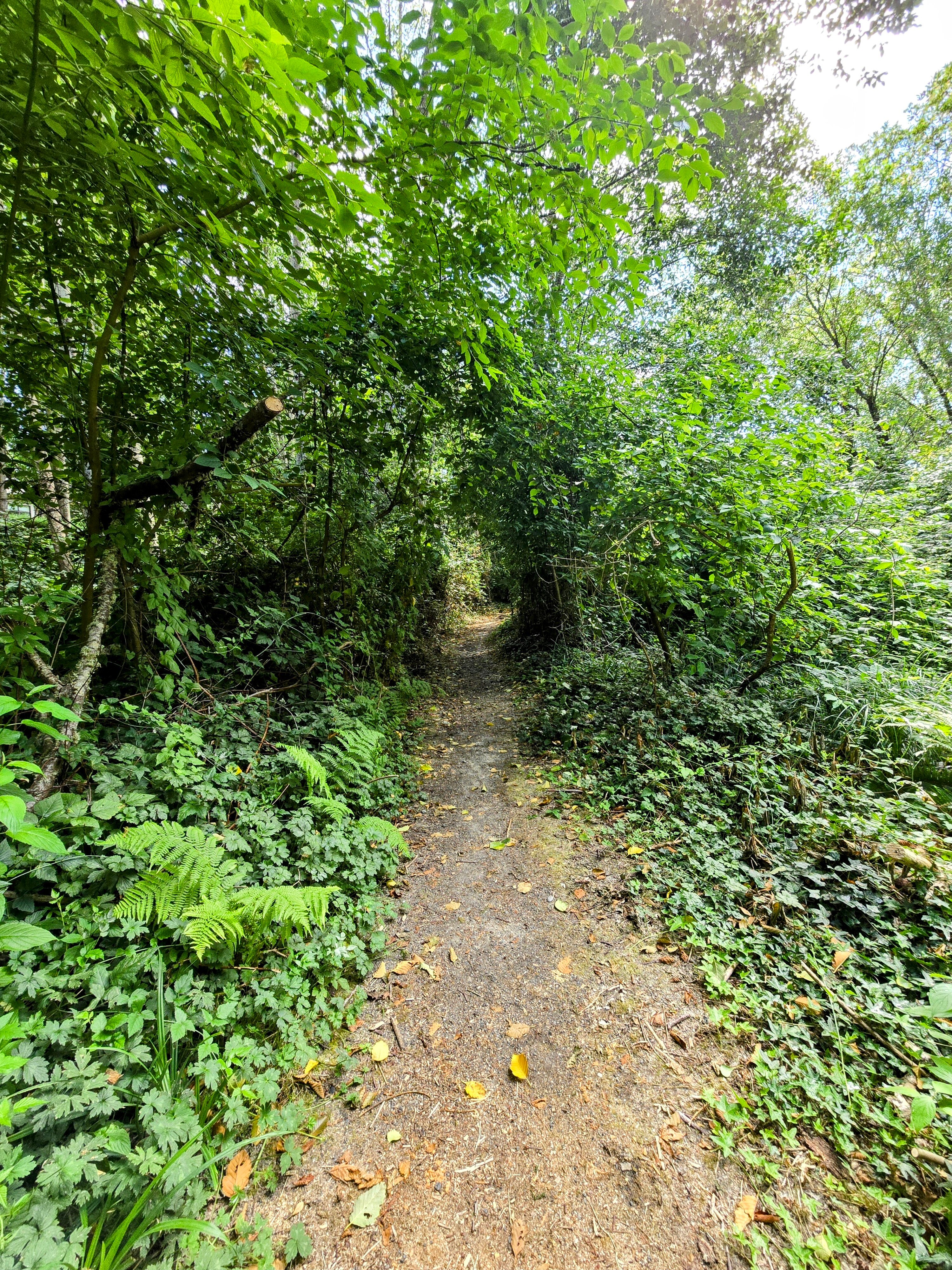 Cedarbrook Lodge-浴室