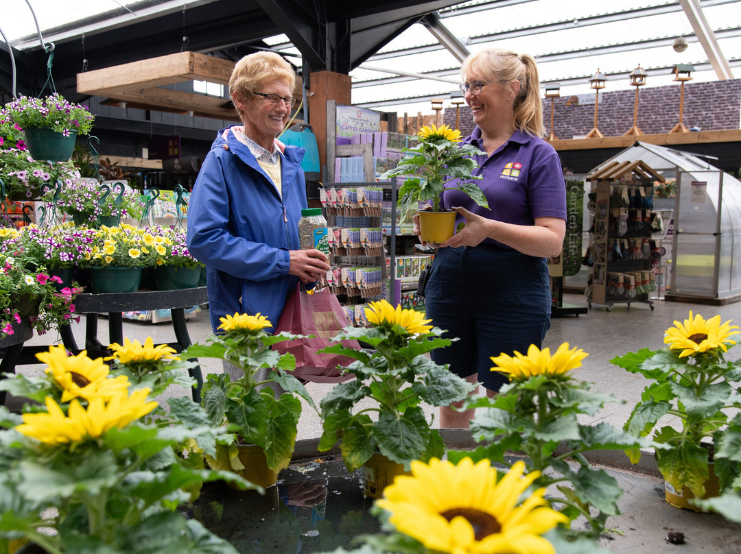 Horkan's Garden & Lifestyle Destination Centre-Castlebar必去景点