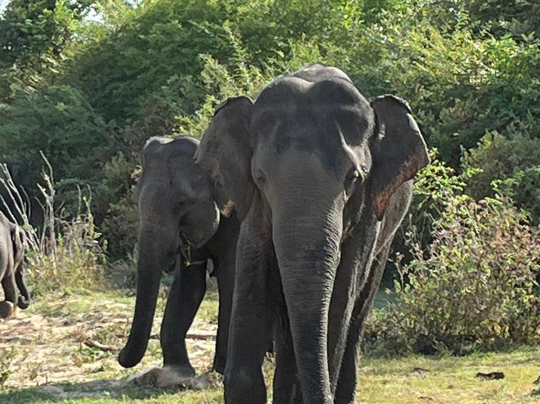 GIU & DAD Holiday Tours-Ettukala必去景点