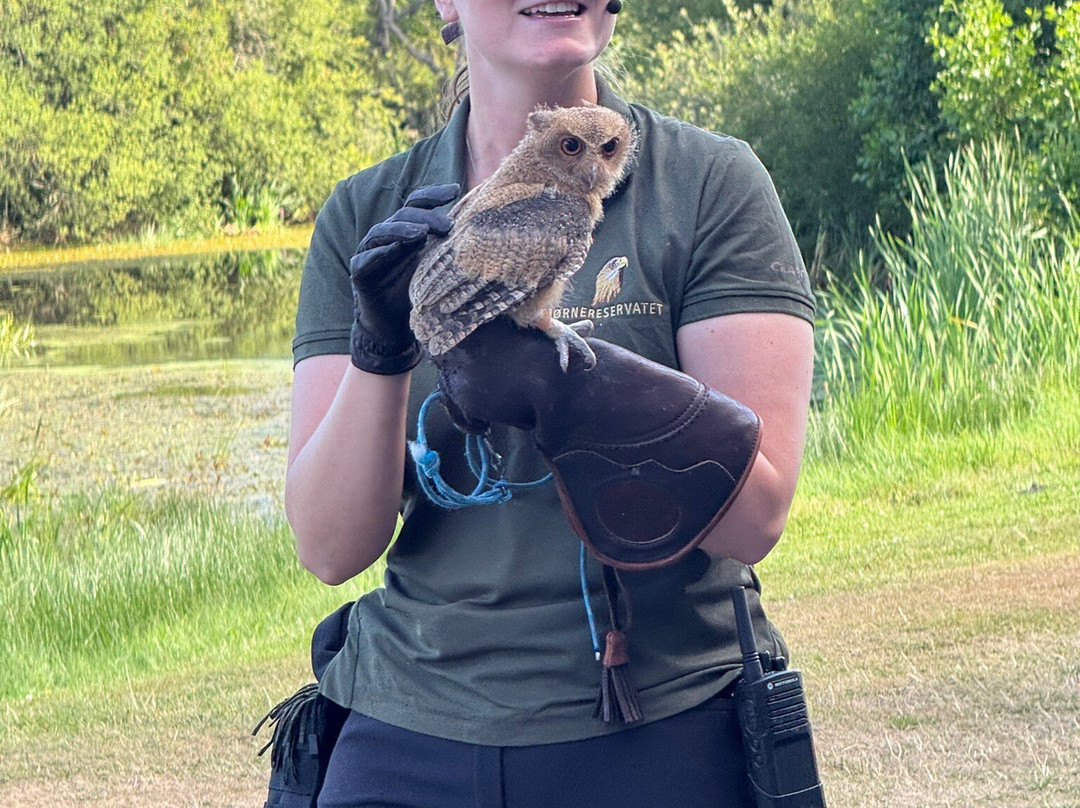 Eagle World-Bindslev必去景点