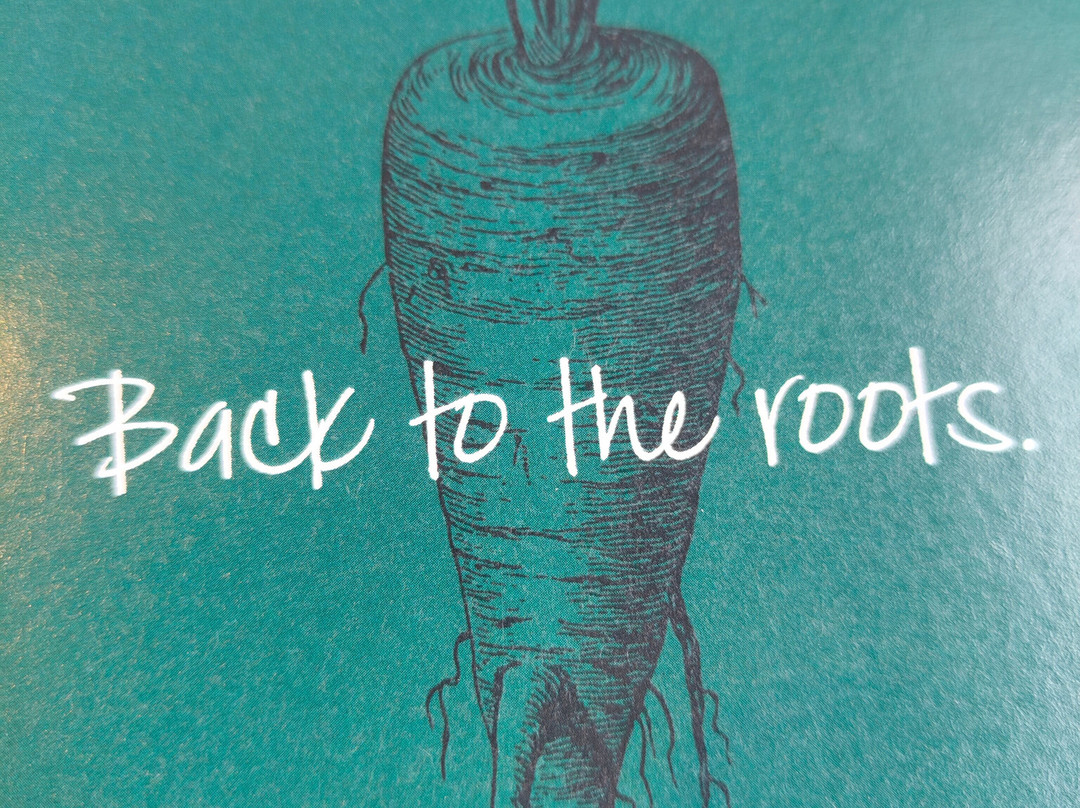 Hotel Drumlerhof主图