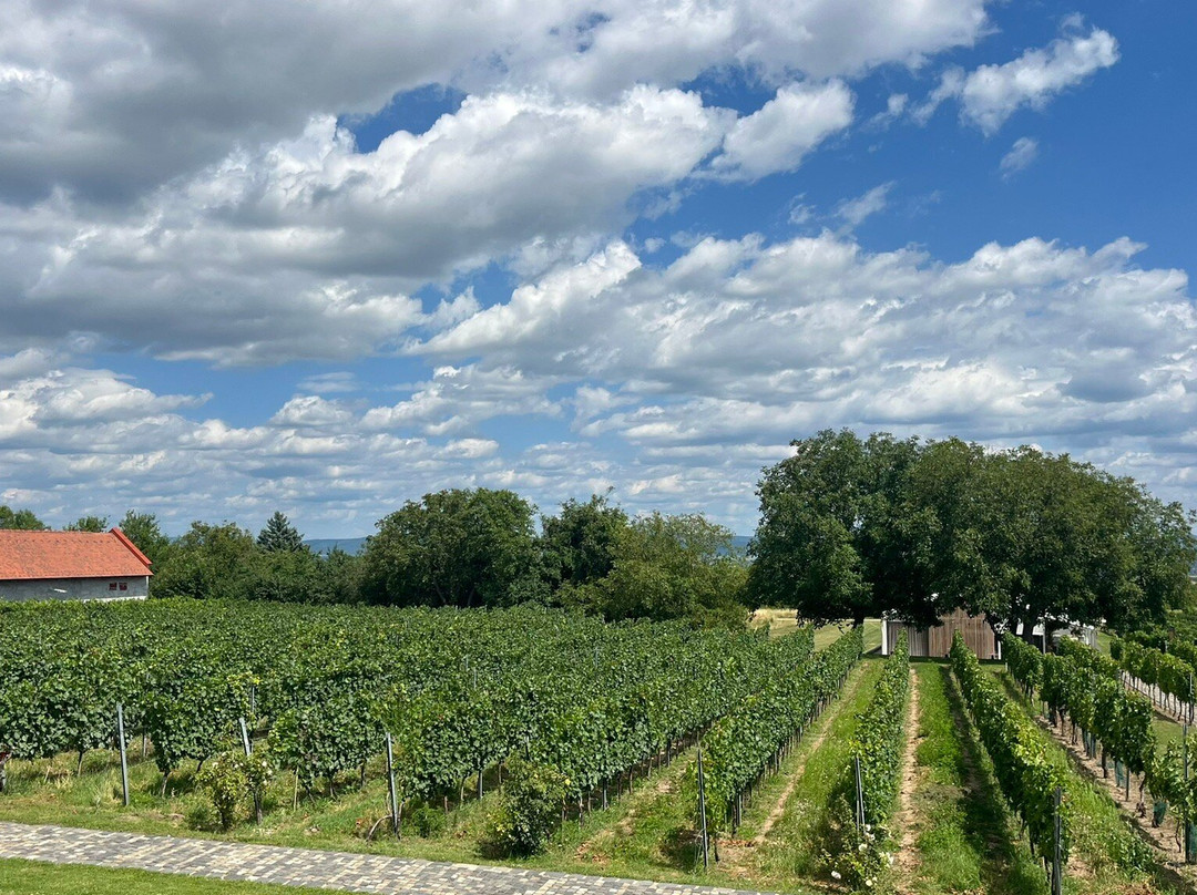 Etyeki Kúria Pezsgőbirtok-艾杰克必去景点