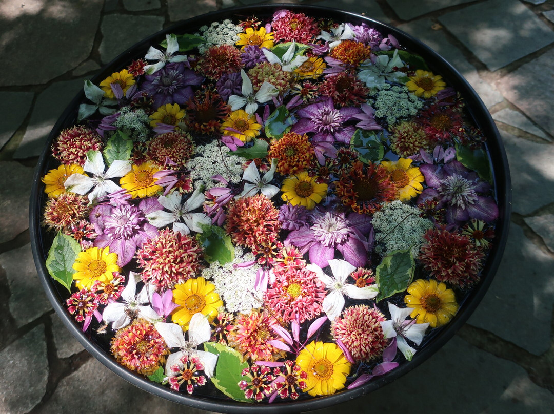 上野农场-旭川市必去景点