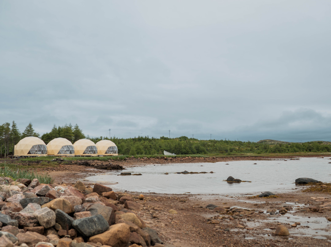 Salmon Bay Farm-Salmon Bay必去景点