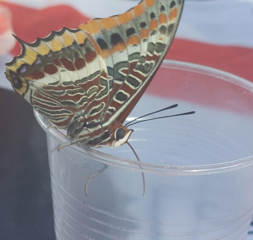 Sardinia Exploring-San Teodoro必去景点