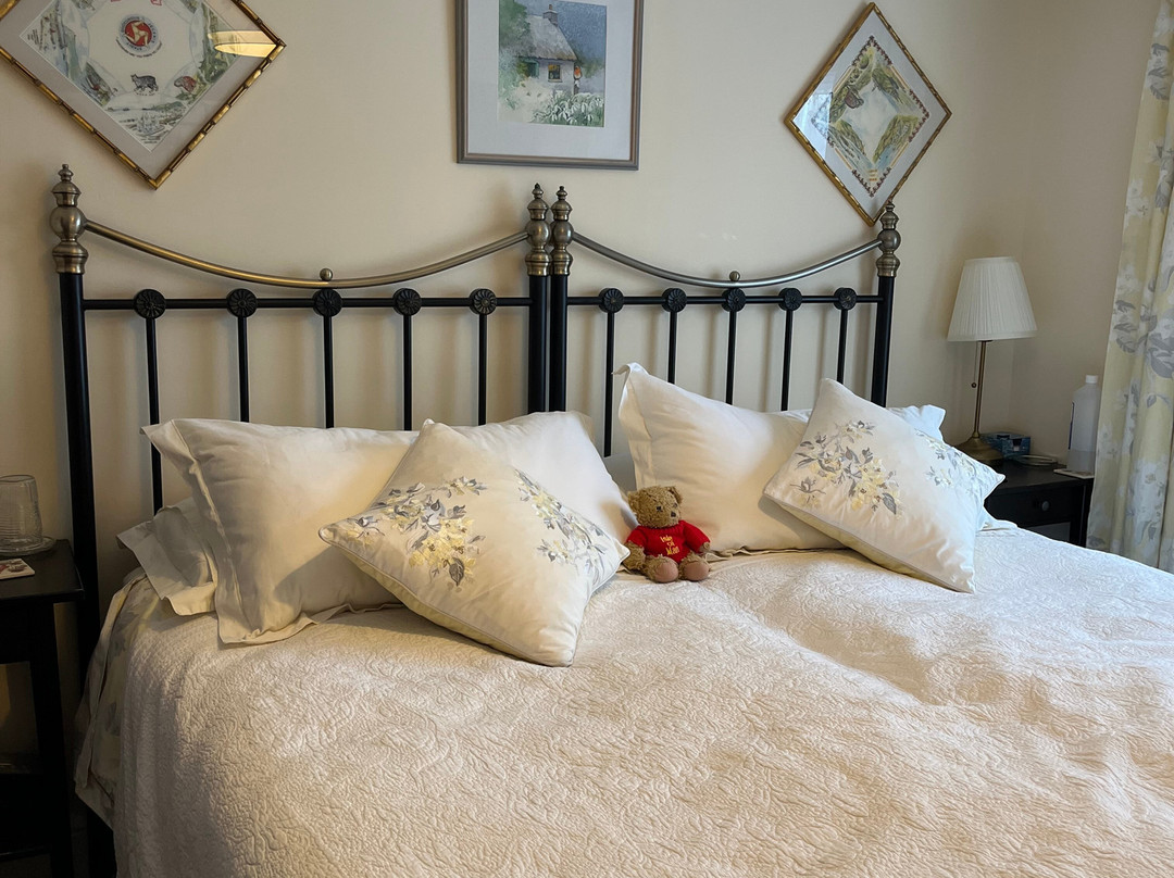 Albany House Bed and Breakfast主图