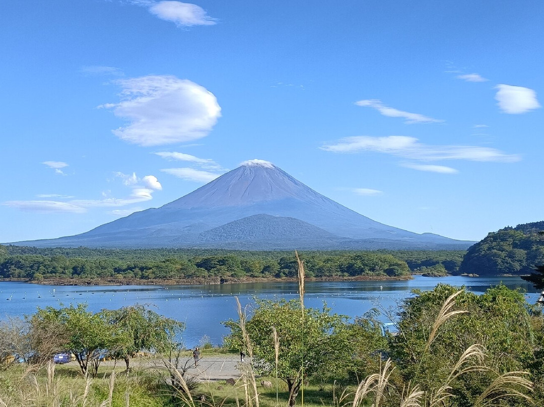 精进湖-富士河口湖町必去景点