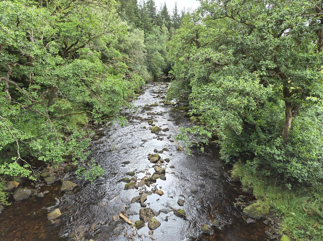Kielder Castle Visitor Centre-Kielder必去景点