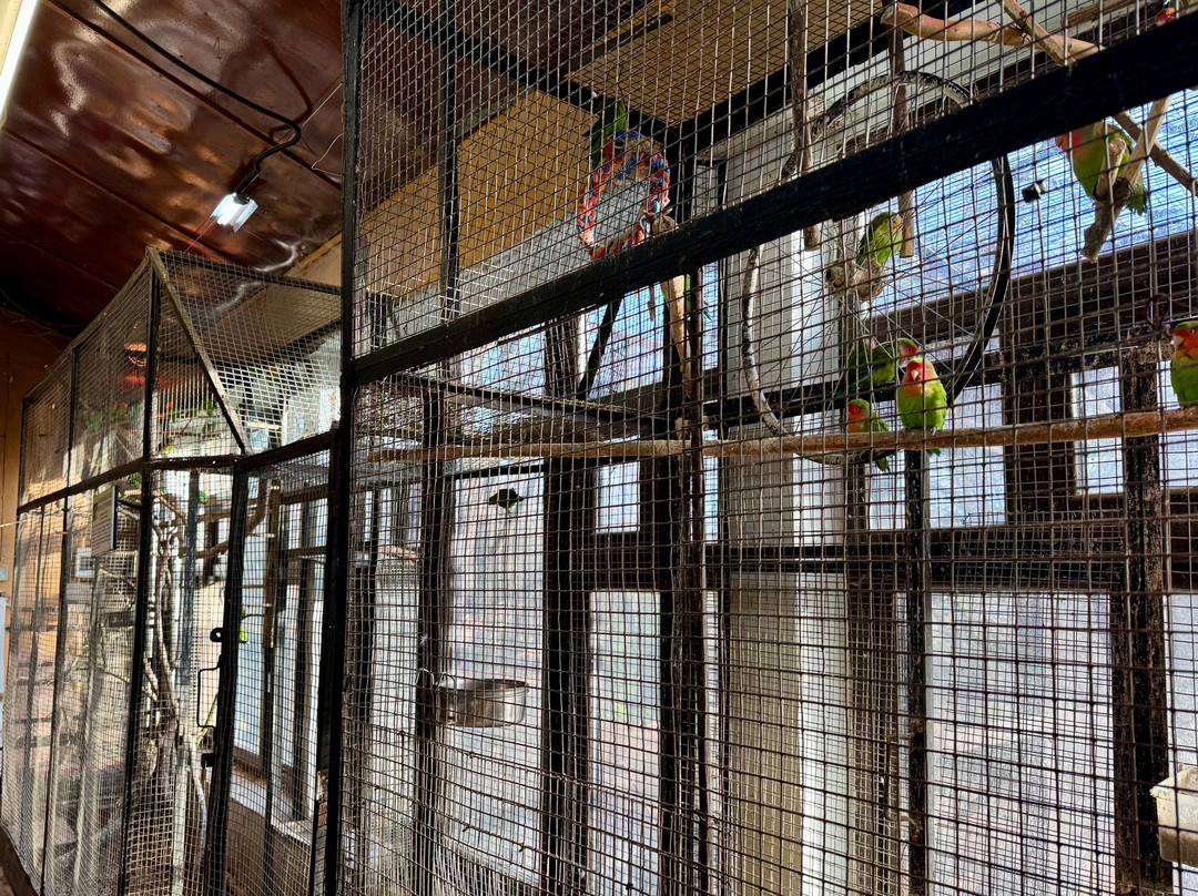 Kaliningrad Zoopark-加里宁格勒必去景点