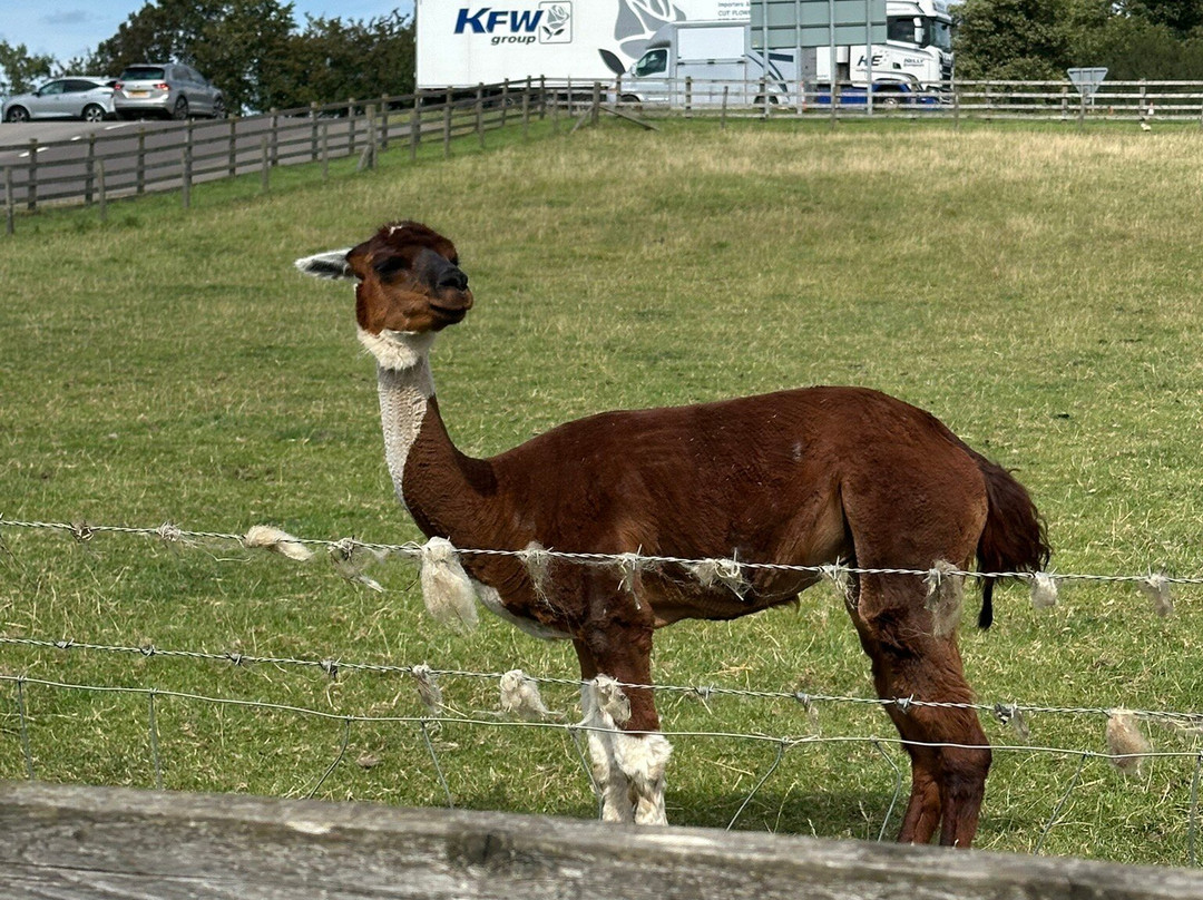 Mainsgill Farm-East Layton必去景点