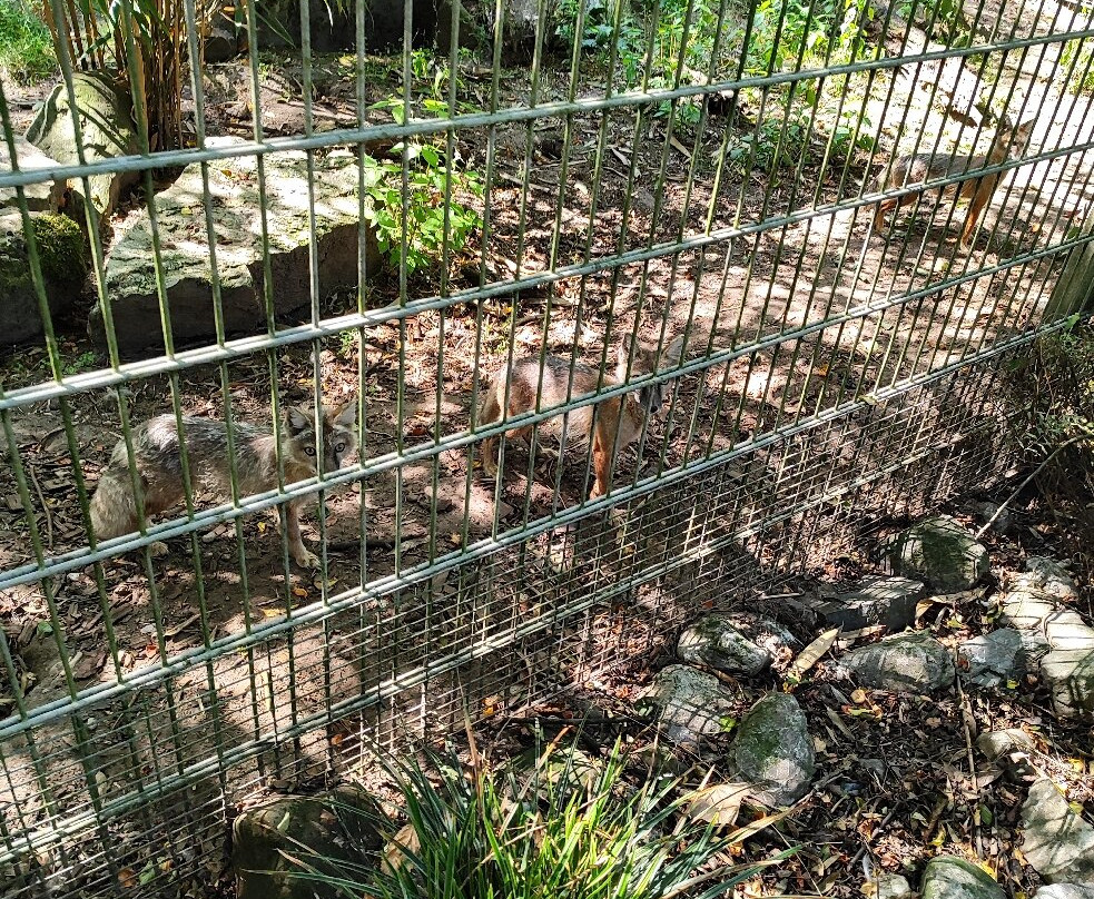 Dierenpark Zie-Zoo-Volkel必去景点