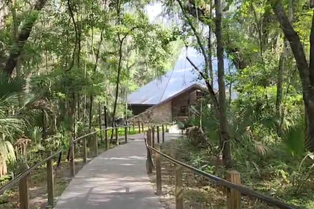 Paynes Prairie Preserve State Park-Micanopy必去景点