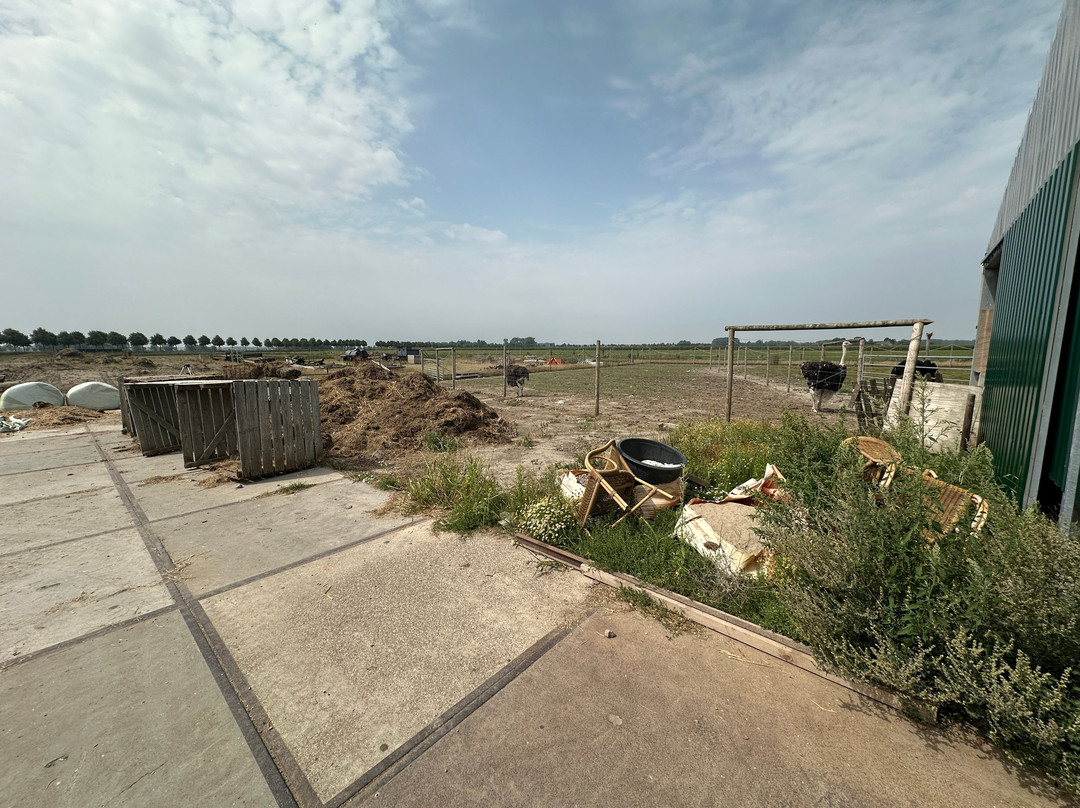 Struisvogelboerderij Monnikenwerve-斯勒伊斯必去景点